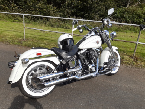 A wee run in the sun, glorious day!