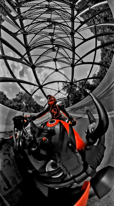 “One of the hardest things in life to learn are which bridges to cross and which bridges to burn.”