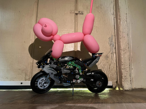 Taught my dog how to ride my bike?