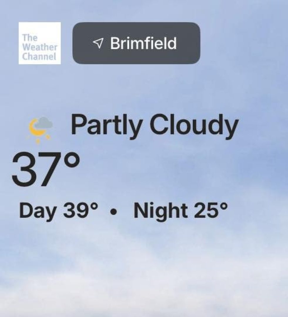 Brimfield State Forest, Massachusetts