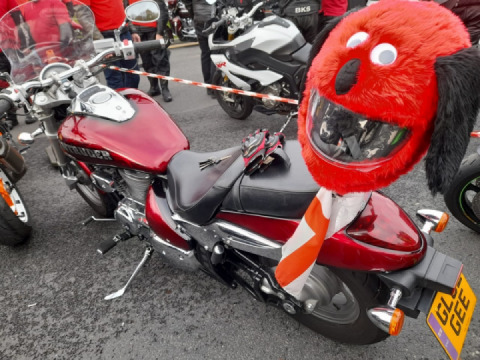 4400 bikes final count ??