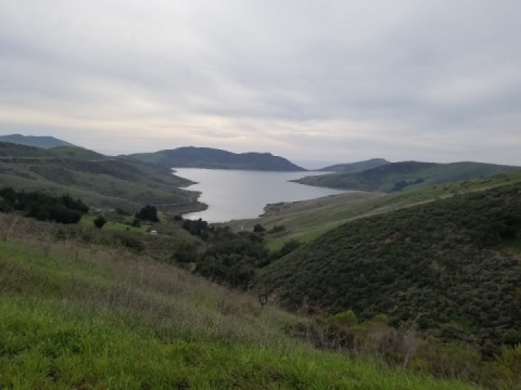 Day three on the coast