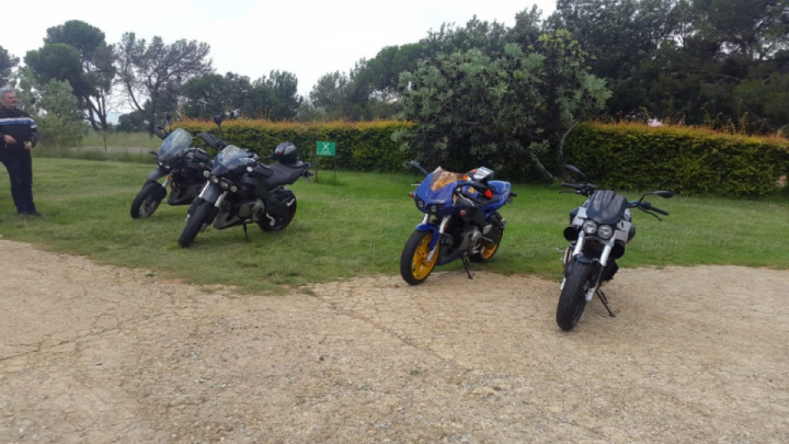 3rd Buell run...numbers are growing slowly