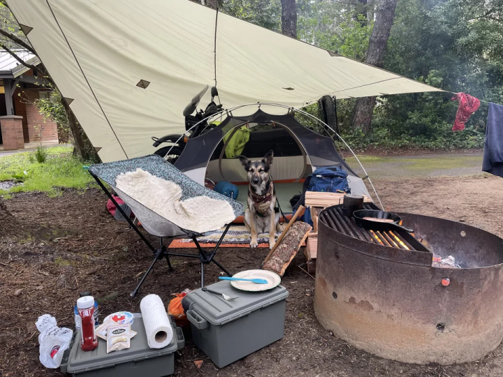 May camping with road dog.