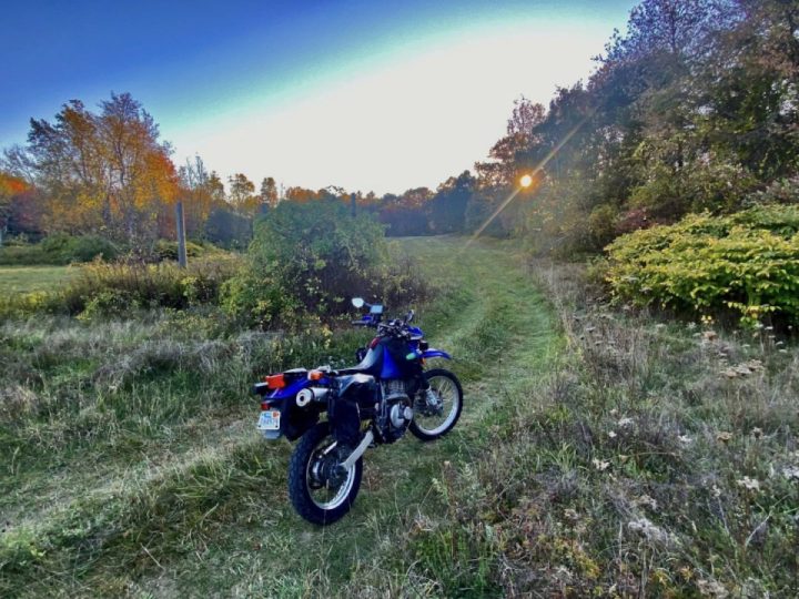 Autumn leaves, etc.,