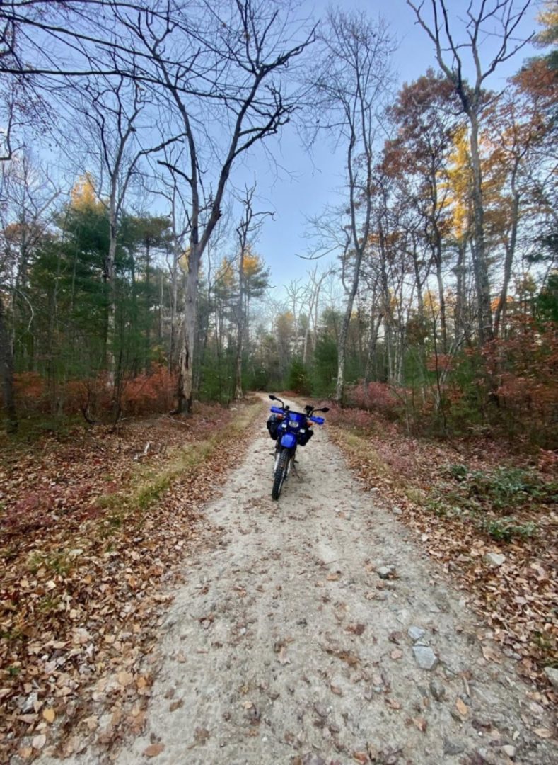 You Olney live once 😉