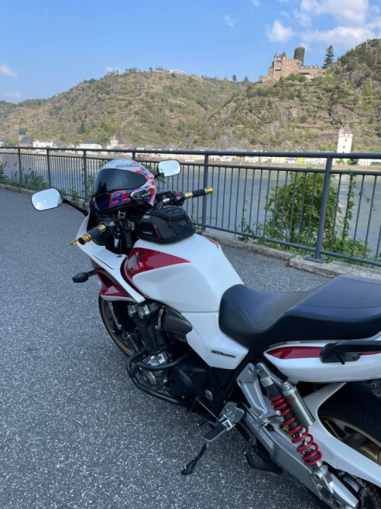 At the Rhine in late summer 2024 - Germany