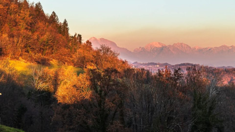 Saturday Walk in Altin