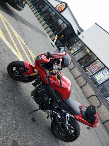 Happy Thanksgiving!!