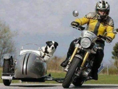 Lean round the corner ?