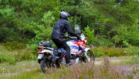 Two beasts different genes 