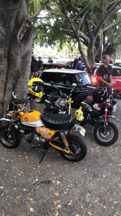 Lil monkey meet and greet at caffeine and gasoline today at Fonzie Abbot