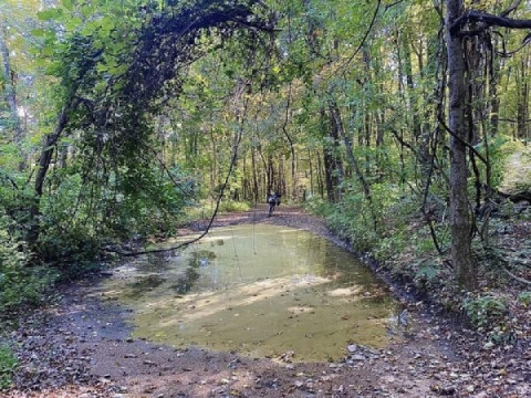 Puddle Patrol on a roll