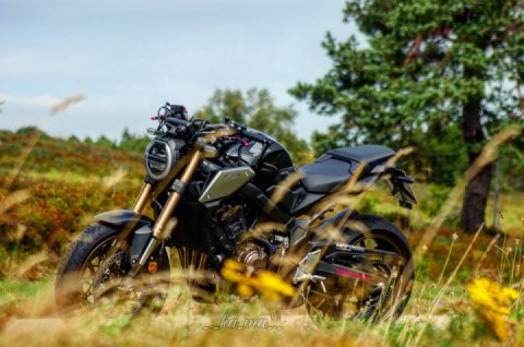 Favorite Shot 1 of x ♥️