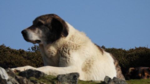 Riding at Freita and Arada mountains - Portugal