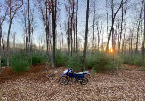 Mild mosey meanderings