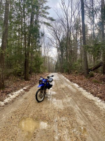 A few from today’s ride