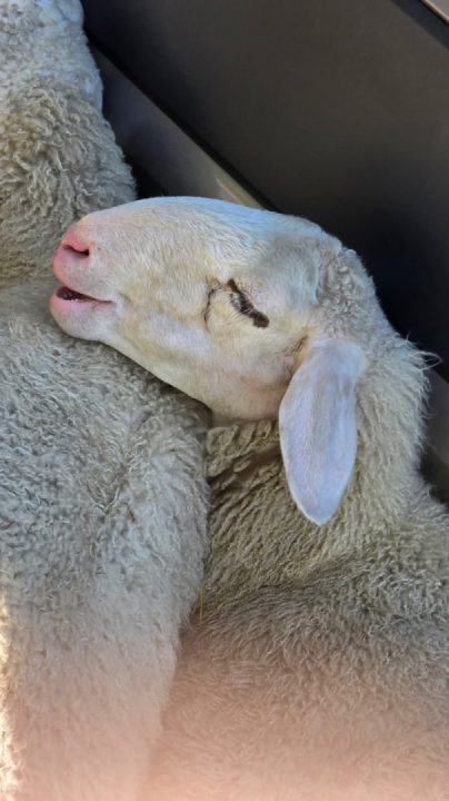 Vršič Pass, SLOVEnia