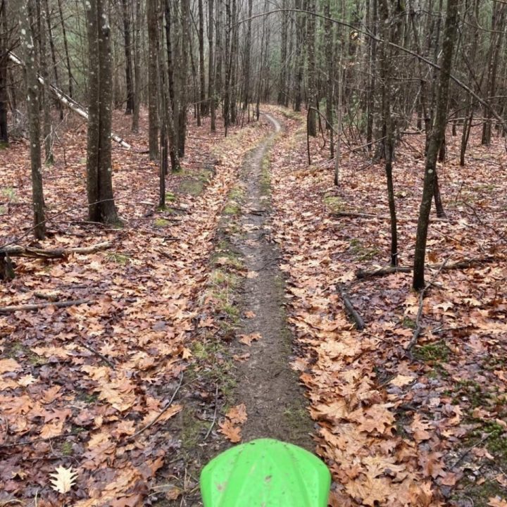 Another trail today