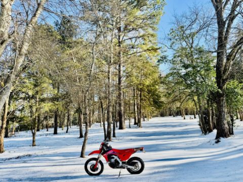 Is it me, or does snow make you feel more alive.