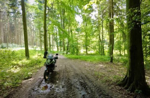Greetings from a nice Gravel Road in Austria :)