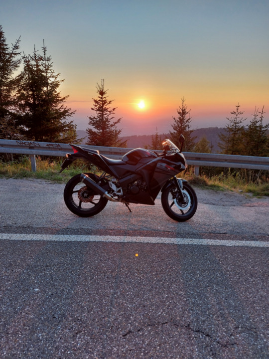 Deswegen ist der Schwarzwald porno pur...