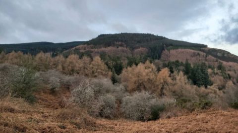 First ride of 2026, a couple of hours out in the Lakes after lunch.