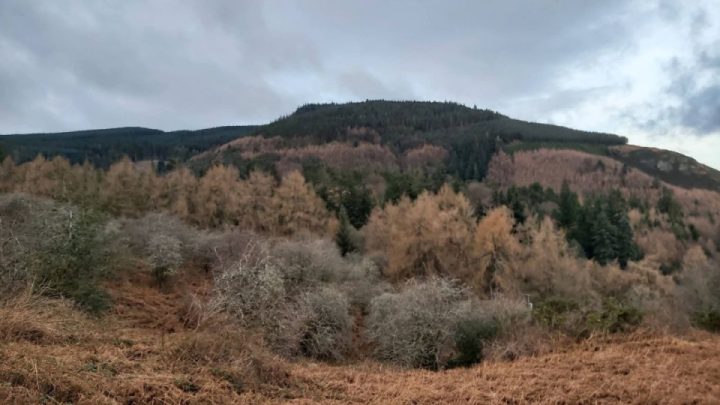 First ride of 2026, a couple of hours out in the Lakes after lunch.
