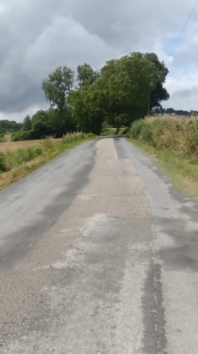 I went to my mechanic to change the battery. Nickel.... Plus he has good bikes to repair.