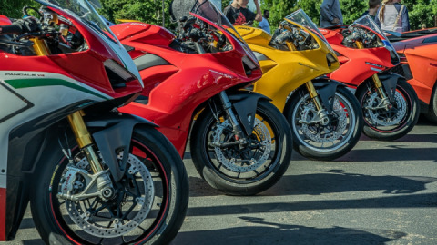 Ducks in a row IG @coolin_with_jay