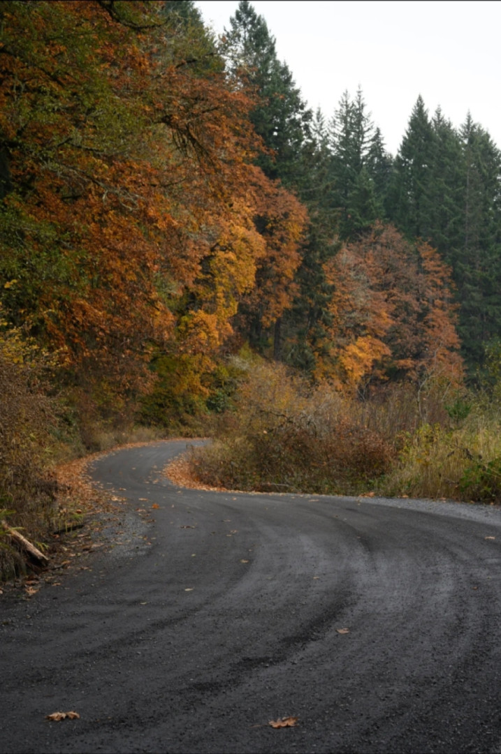 Dirt road back streets