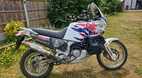 She's about to get some loving.