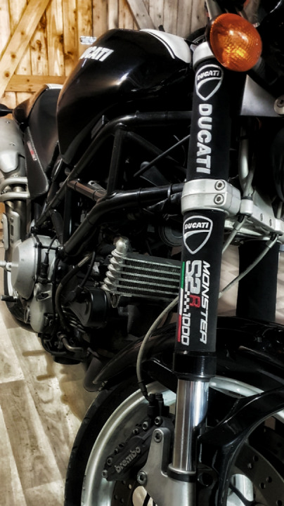 New gift for my bike (fork protector)