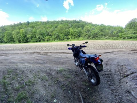 Bonin’ in the Boneyard
