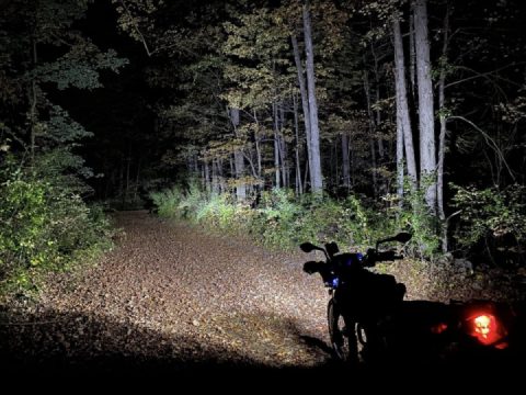 All day and all of the night