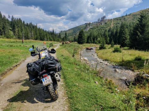 24 Aug 2024. Romania North.... It was a good day