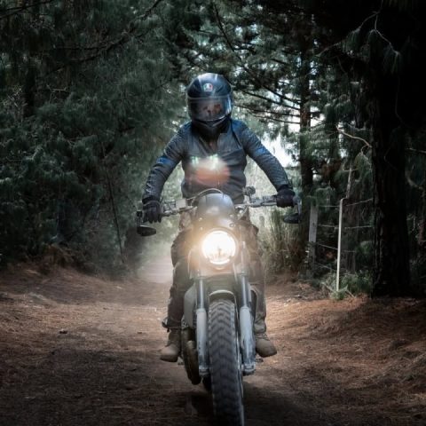 Looking forward to going for a walk!!!