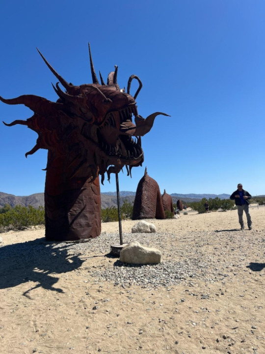 Looking for wild flowers