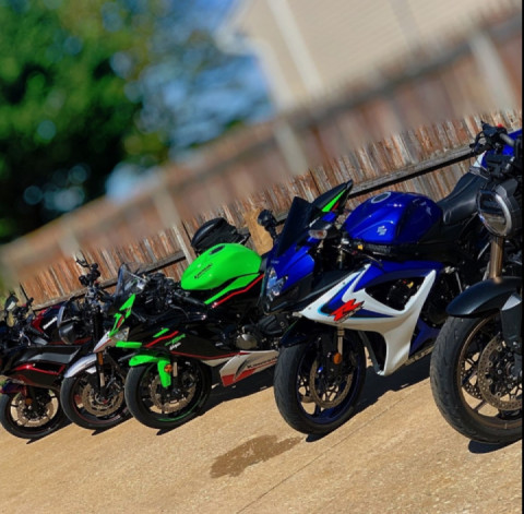 Pack of Wolf Before the Hunt . . . ????? . . .