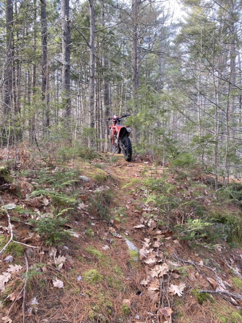 Another good day in Maine today