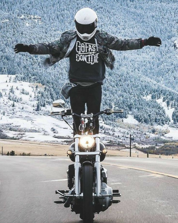 Who got this "stunt" correct