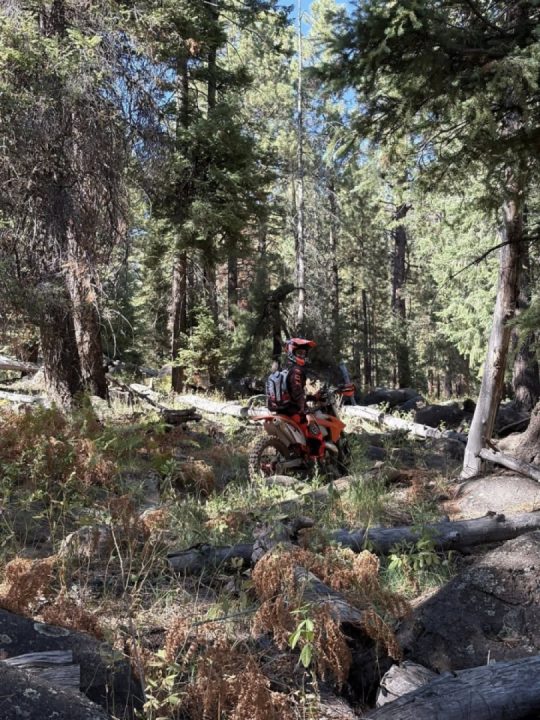 Мoto trail over the weekend