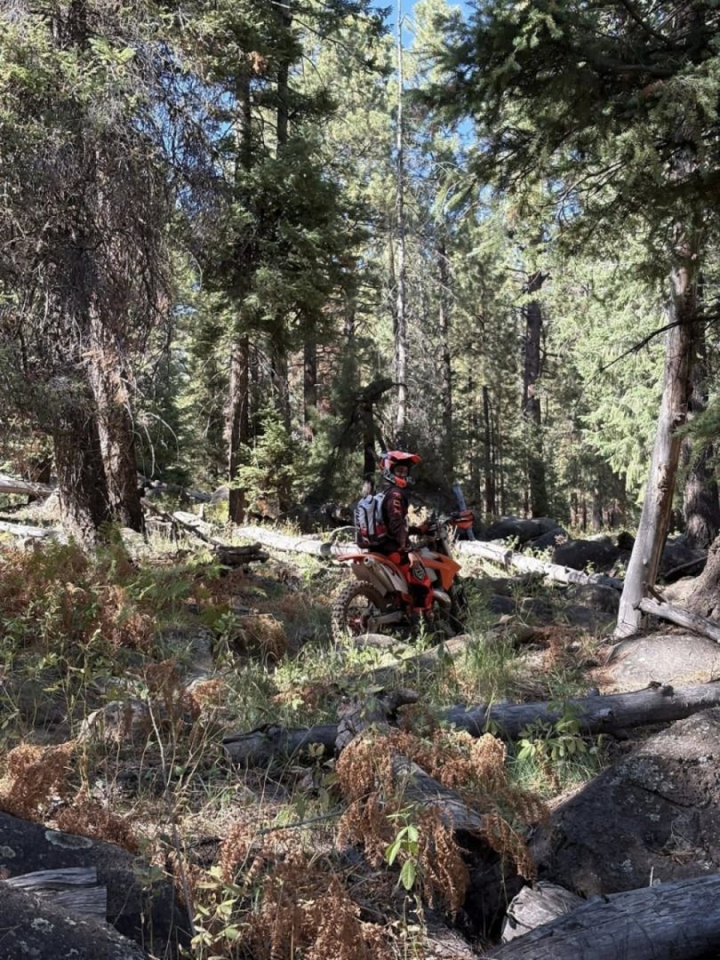 Мoto trail over the weekend