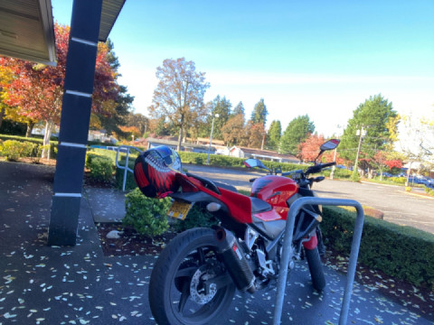 Back in Portland where there no rules