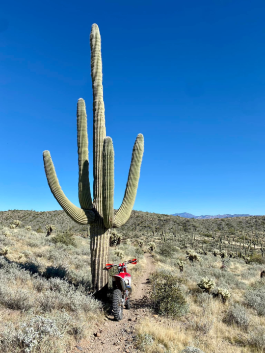 Great solo ride today!!