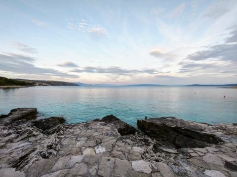 А few pictures from yesterday