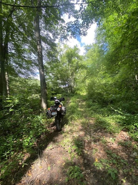 It’s wicked, friggin hot, even in the shade today