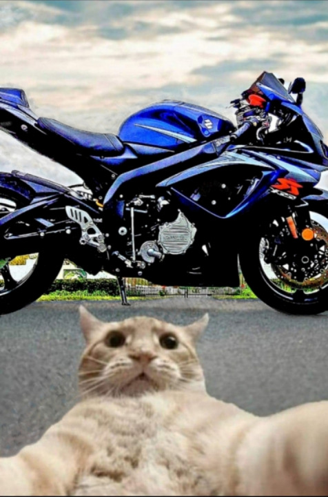 ? Does this GIXXER make me look like a pussy ? ...............✌?!!!!............. #Gitana
