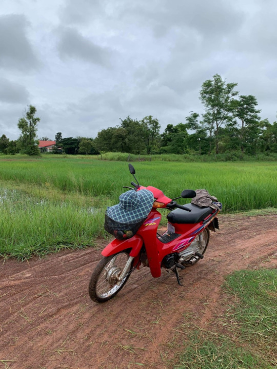 My wife’s bike in Thailand by her rice field. A Honda 110 Wave.