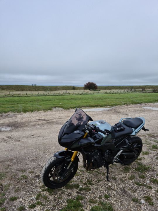 White Horse Westbury